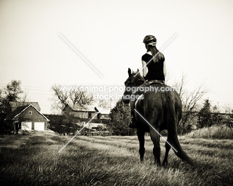 girl riding Thoroughbred in field