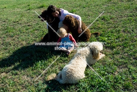 standard poodles with their loving owner and a baby