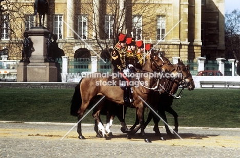 kings troop royal horse artillery in ceremonial dress in london