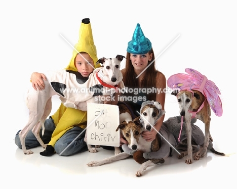 Whippets with dress up children