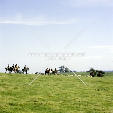 hunting, vale of aylesbury hunt