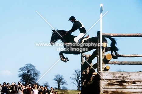 horse and rider take the normandy bank at badminton  horse trials1980, cross country, may be Mark Todd 