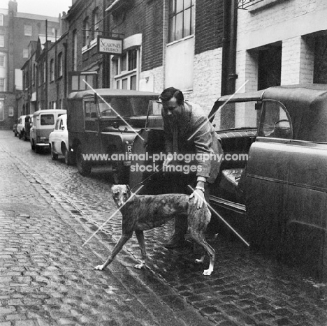 man with a greyhound in a cobbled street