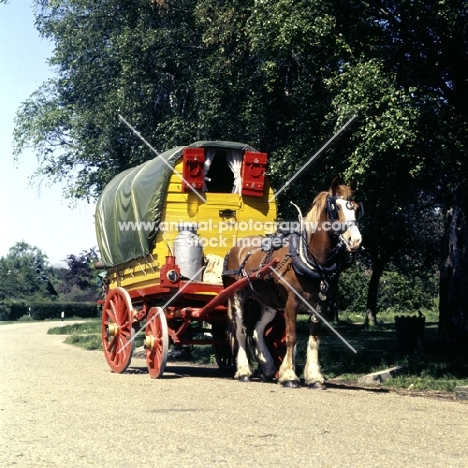 gipsy caravan