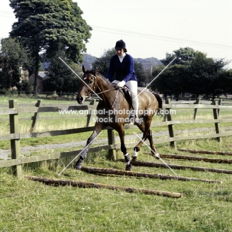 training, trotting over poles