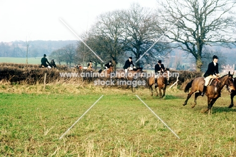 group of horses and riders drag hunting 