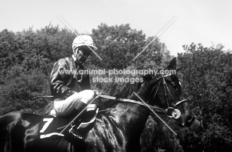 greville starkey at goodwood races