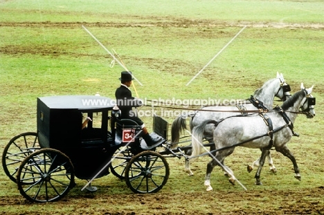 coupe vehicle at zug