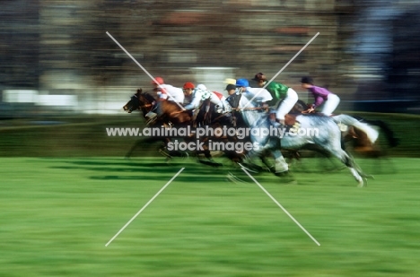 horses racing