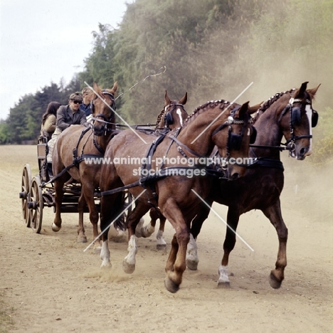 team of four, international grand prix at windsor show 1976