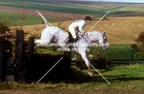 side view of horse jumping at wylye horse trials