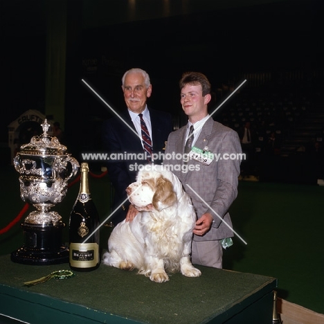sh ch raycroft socialite, clumber spaniel, winning BIS crufts 1991 with judge leonard pagliero
