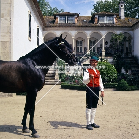 lusitano in front of great portuguese country house shown by campino in traditional livery