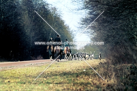 riders on horses hunting in france