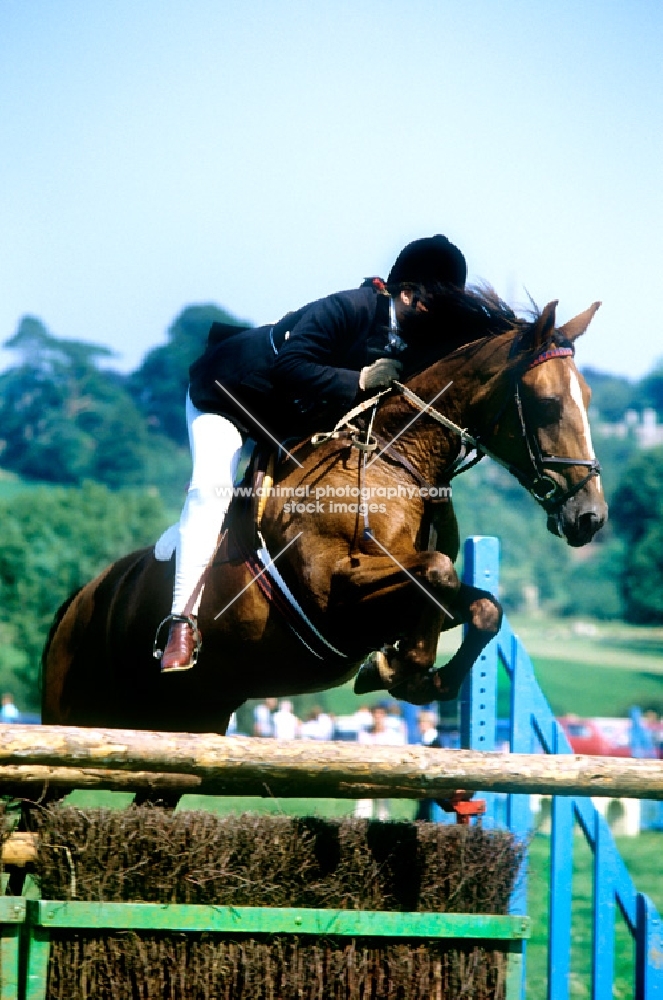 show jumping at painswick show gloucestershire