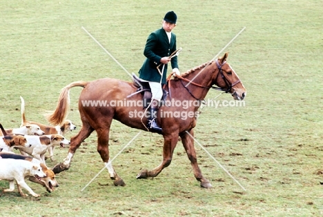 heythrop hunt