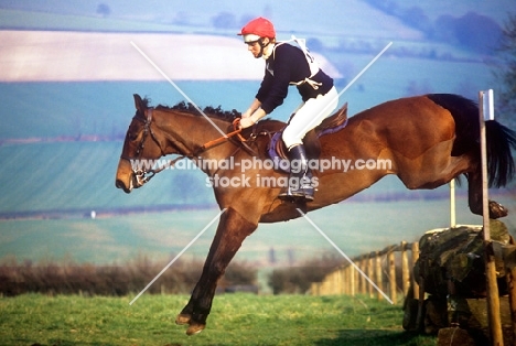 horse jumping at novice horse trials, wendover 82