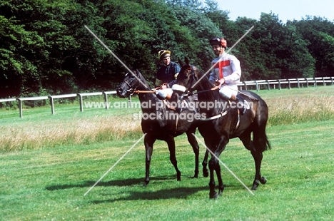 racehorses and jockeys riding at goodwood