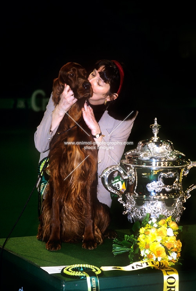 owner, rachel shaw,  kissing irish setter sh ch starchelle chicago bear, after winning crufts bis 1995