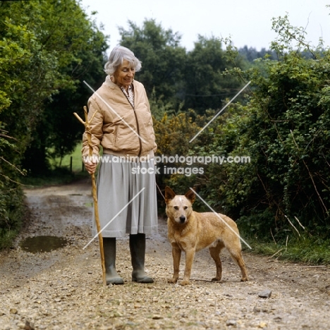 australian cattle dog with his owner