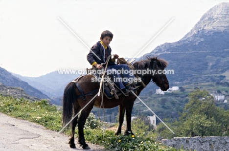 child riding working skyros pony on skyros island, greece
