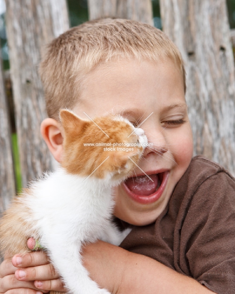 kitten kissing a boy