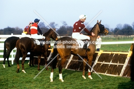 showing the horses the hurdle at windsor racecourse