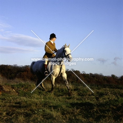 horse and rider moving at fast trot