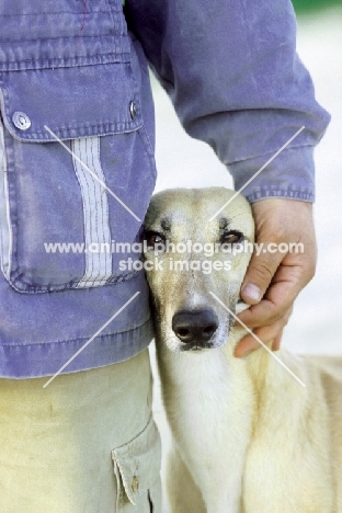 Cyprus Greyhound with owner