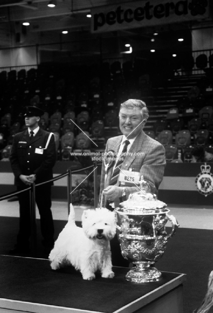 crufts 1990 ch olac moon pilot with owner derek tattersall after winning bis