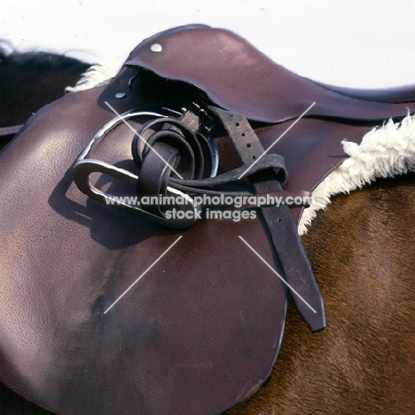 equipment: saddle with stirrups set up for lungeing