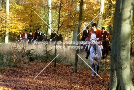 horses and riders out with the  Vale of Aylesbury hunt