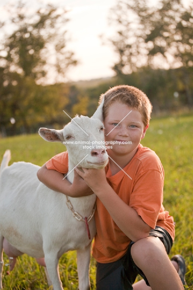 young boy with is beautiful white Saanen diary goat