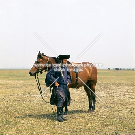 Hungarian Horse with csikÃ³, traditional clothes, girthless saddle, on great Hungarian Plain 
