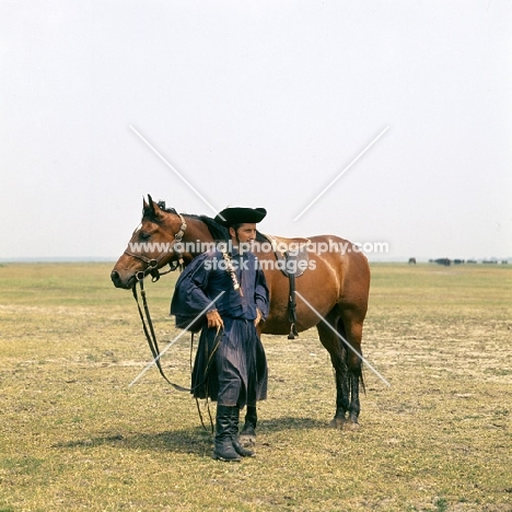 Hungarian Horse with csikó, traditional clothes, girthless saddle, on great Hungarian Plain 