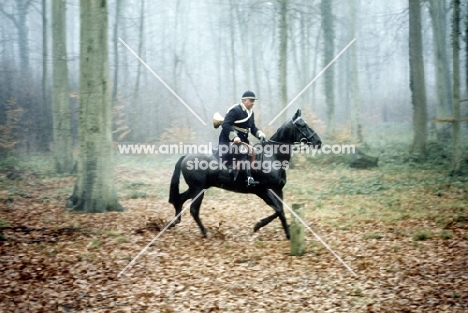 rider in forest