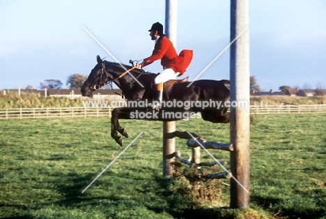 horse and rider out with the berks and bucks drag hunt