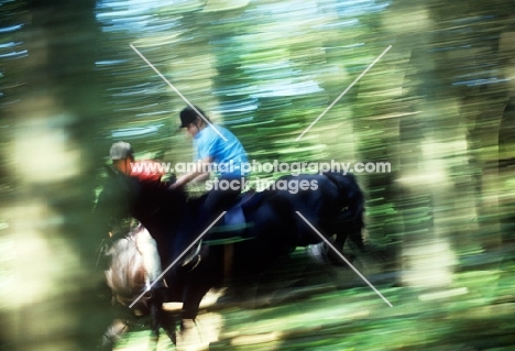 dartmoor pony jumping with young girl rider