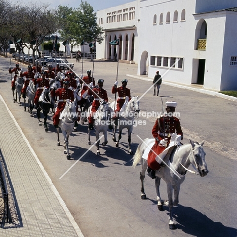 garde royale at a parade in rabat morocco