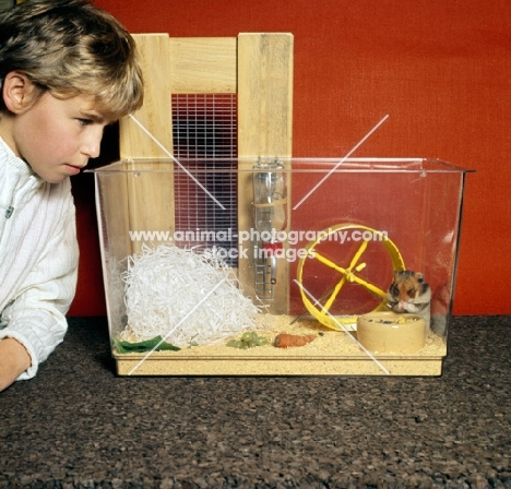 boy looking at his hamster