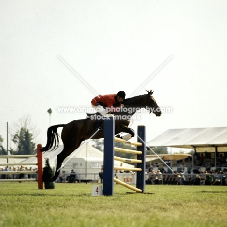 david broome show jumping, 3 counties show ‘75
