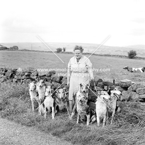 miss e dundas mouat with her smooth collies near her home