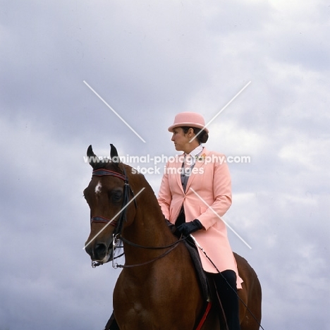  Arab USA, Arabian English saddle class, lady rider