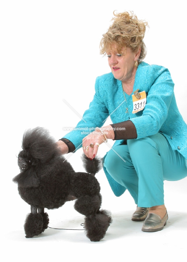 Australian Champion Toy Poodle with owner