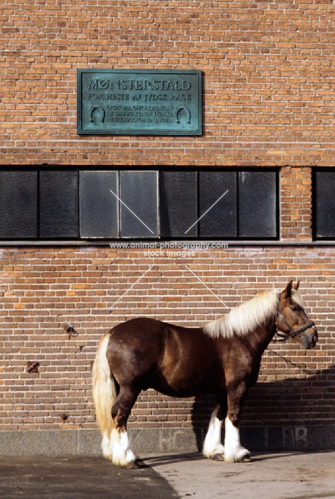 jutland horse at carlsberg brewery copenhagen