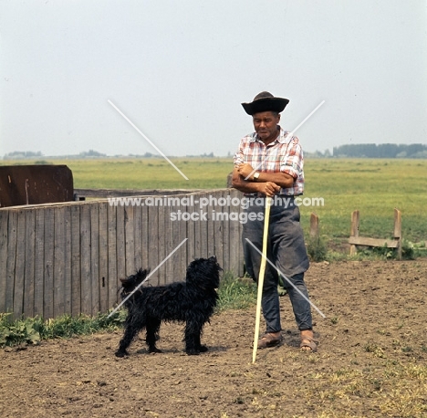 hungarian puli and owner in hungary