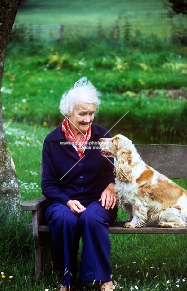 grey haired lady with her cocker spaniel
