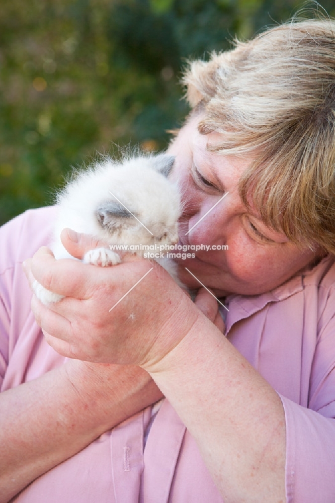 Ragdoll kitten being cuddle by a woman
