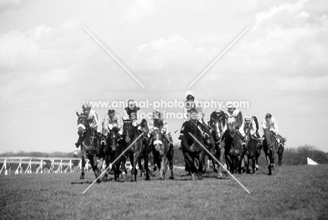 flat racing at ascot, 1980