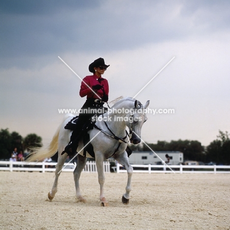 Arab Horse with woman rider at Tampa Show Western Saddle Class, USA 